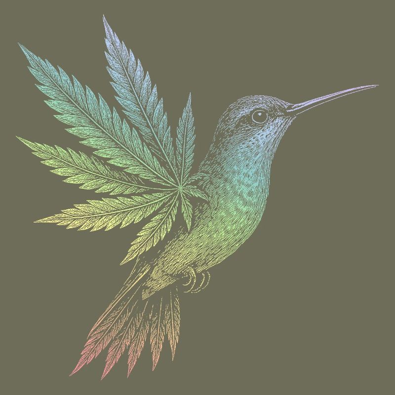 Hummingbird