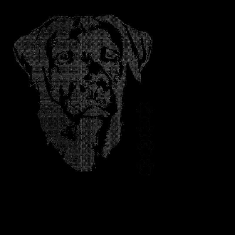 Love Labrador