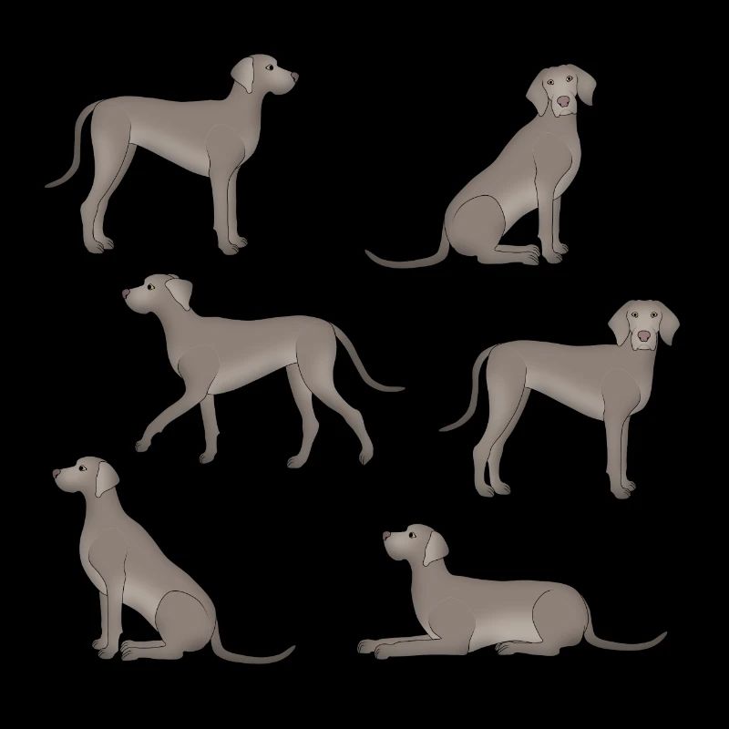 Sélection de Braque de Weimar