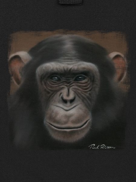 Chimpanzé