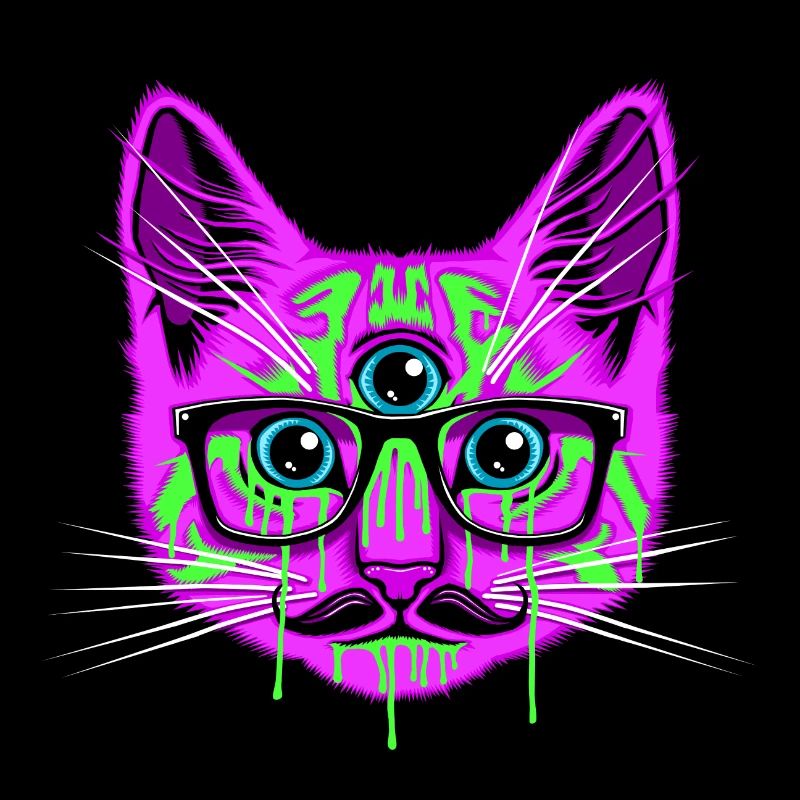 Voyage Cat