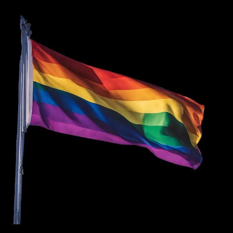 LGBTQ Flagge