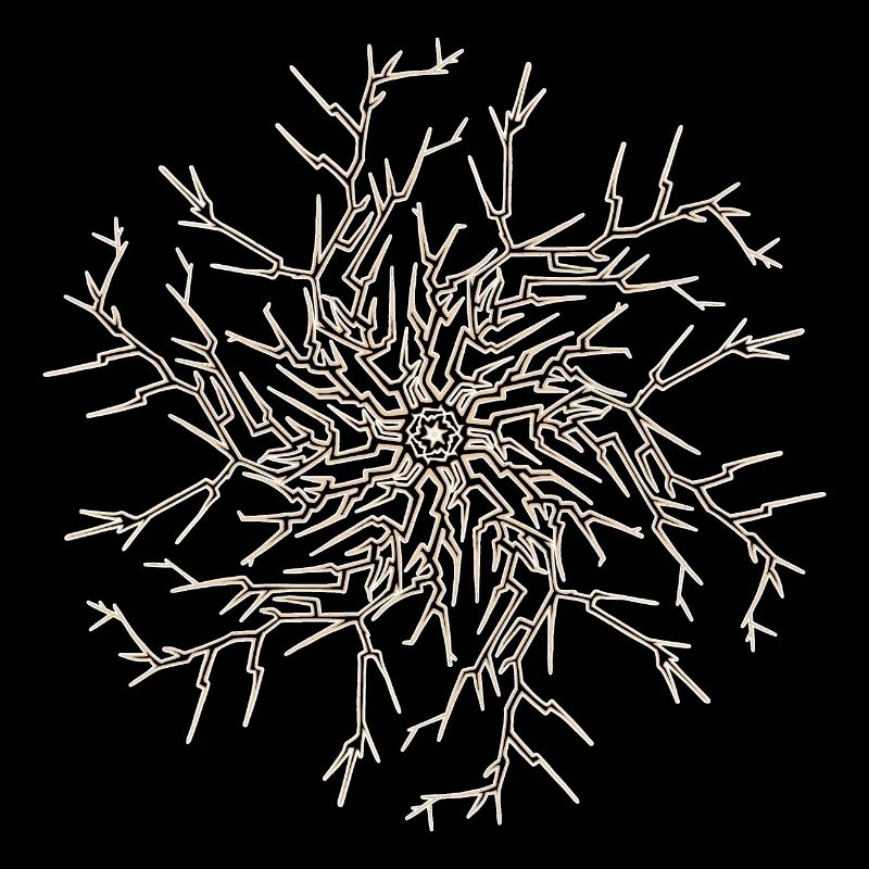 Soleil Arbre