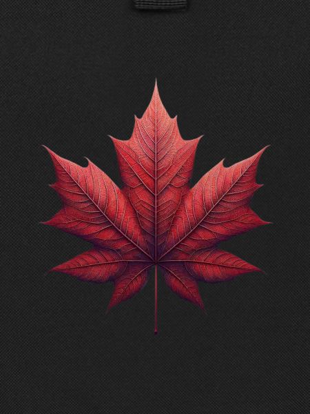 Maple Leaf Maple
