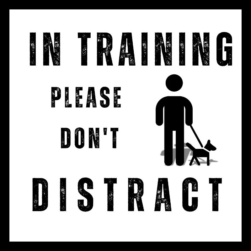 Dog training