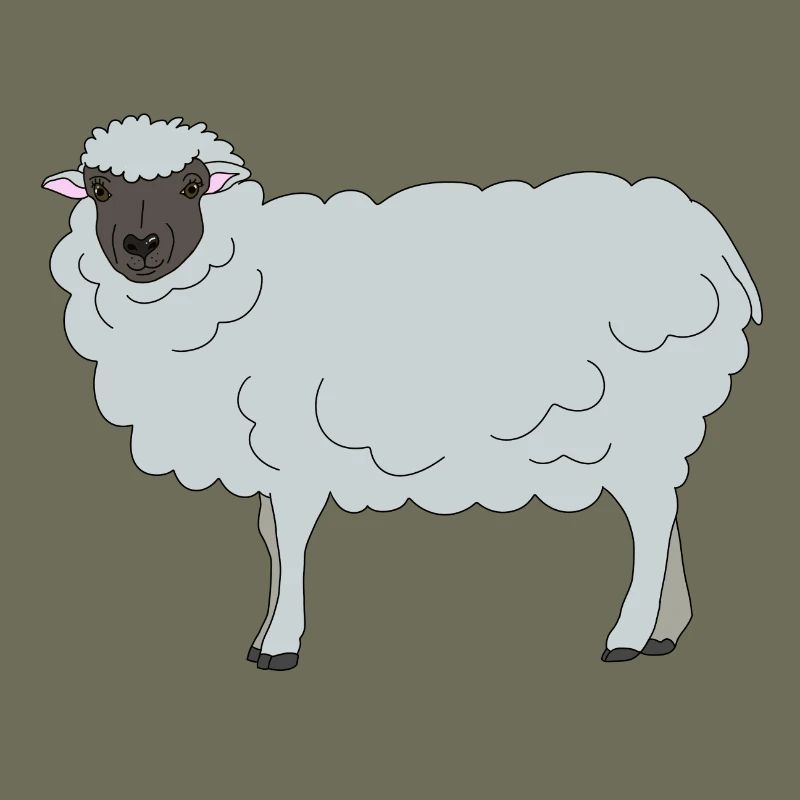 Sheep