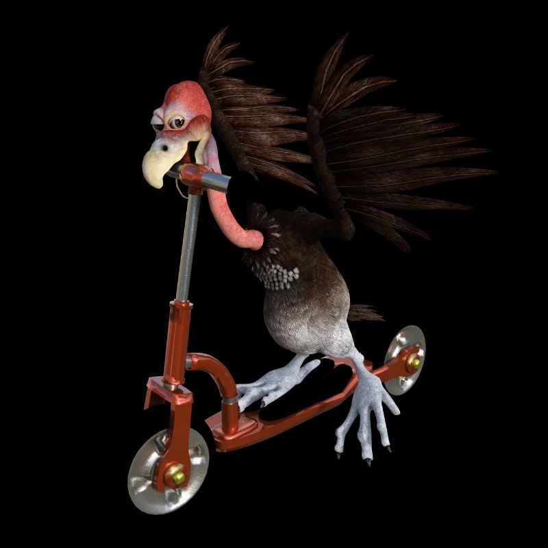 Vulture riding a scooter