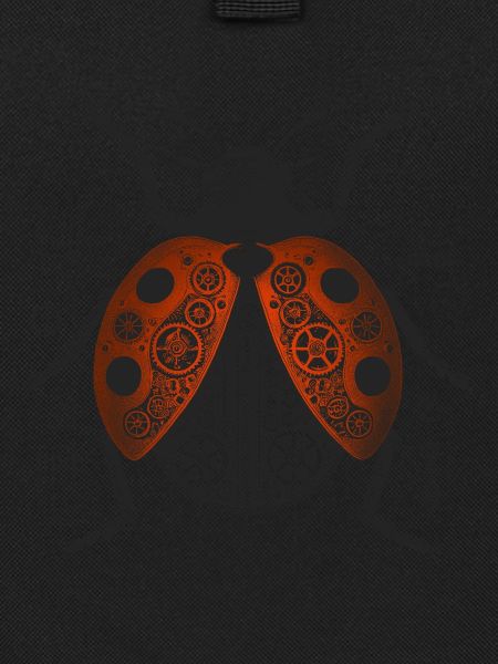 Ladybird