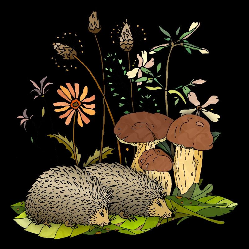 Hedgehogs