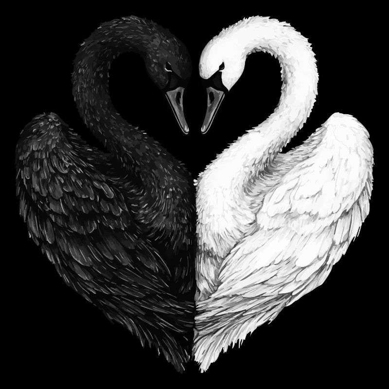 Swans in Love
