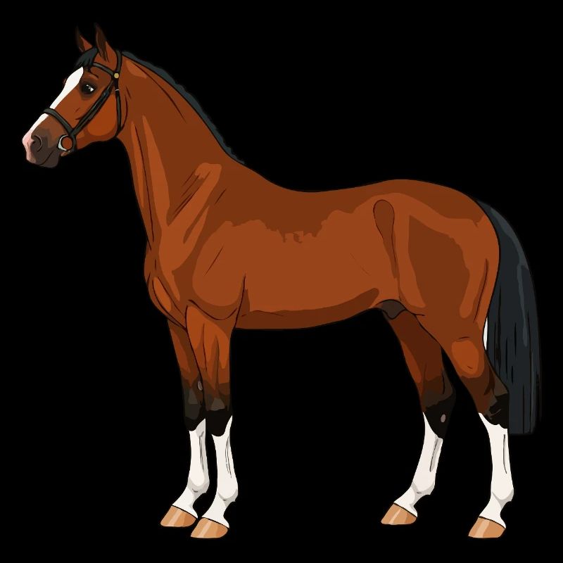 Hackney Pferd echt