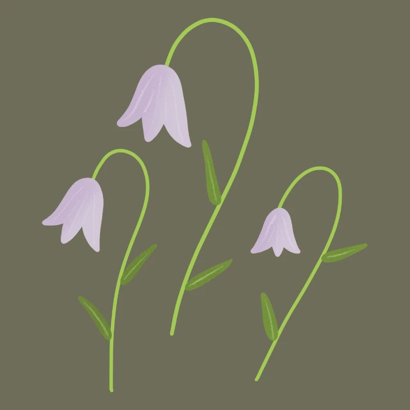 campanules