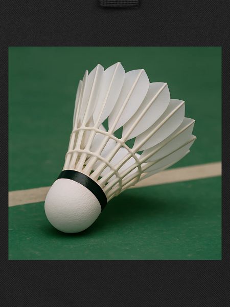 Sport - Badminton