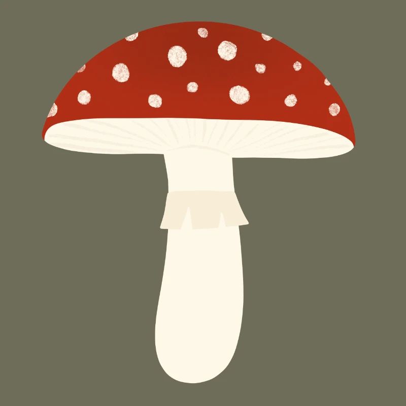 Toadstool Fly Agaric Mushroom