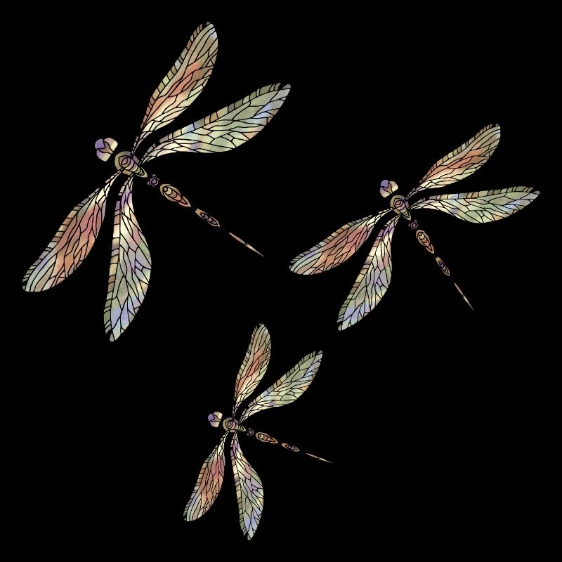 Dragonflies
