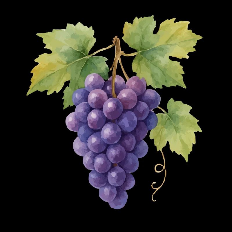 grapes