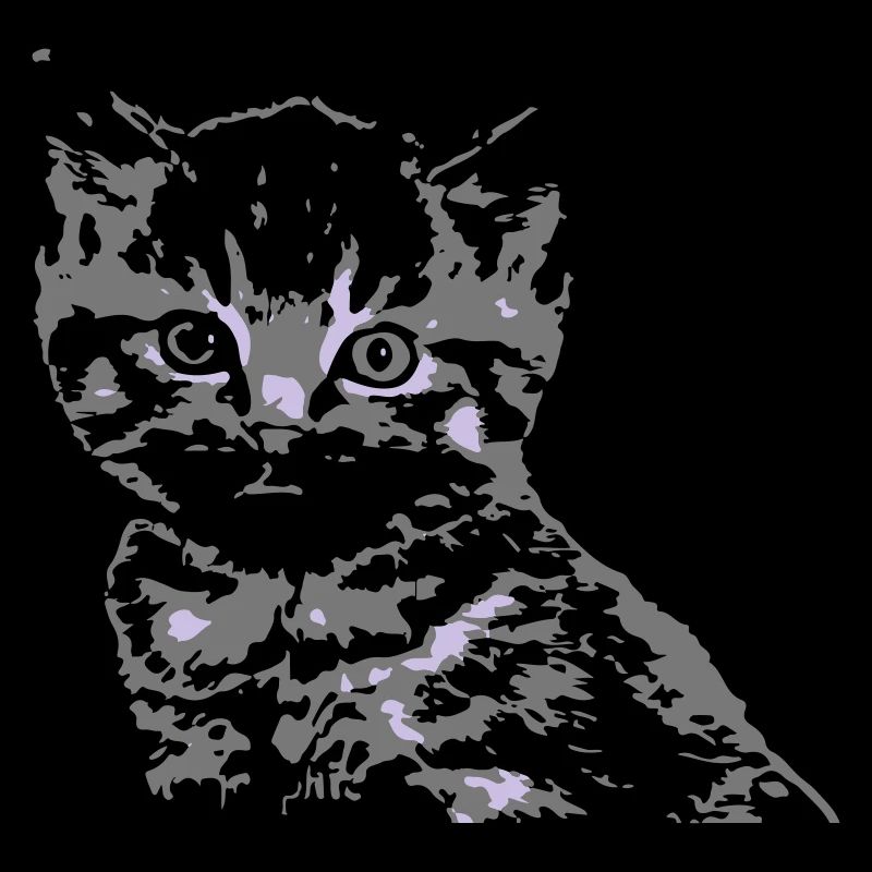 Katze Cat Katzengesicht