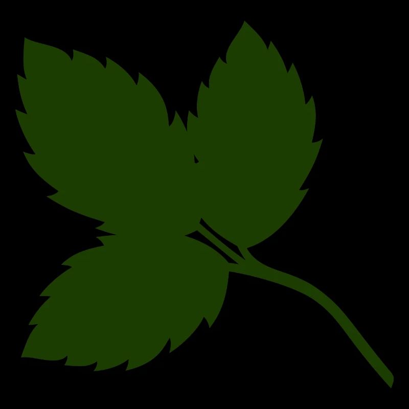 Rosenblätter 2