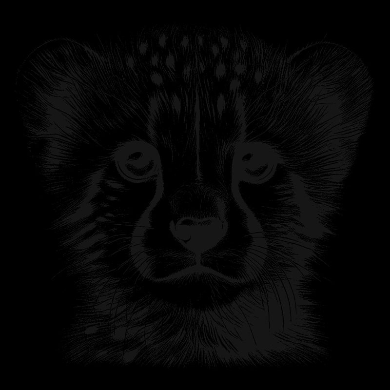 Gepard