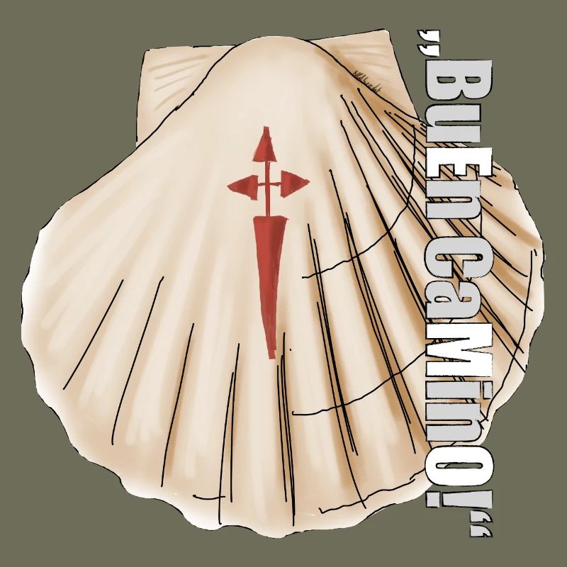 Coquille Saint-Jacques