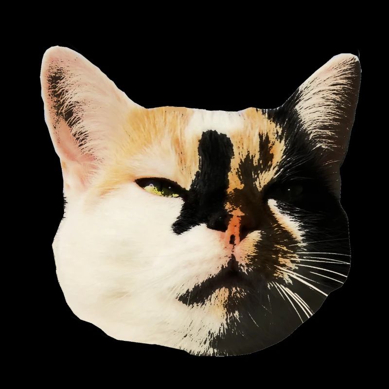 Lumi Cat