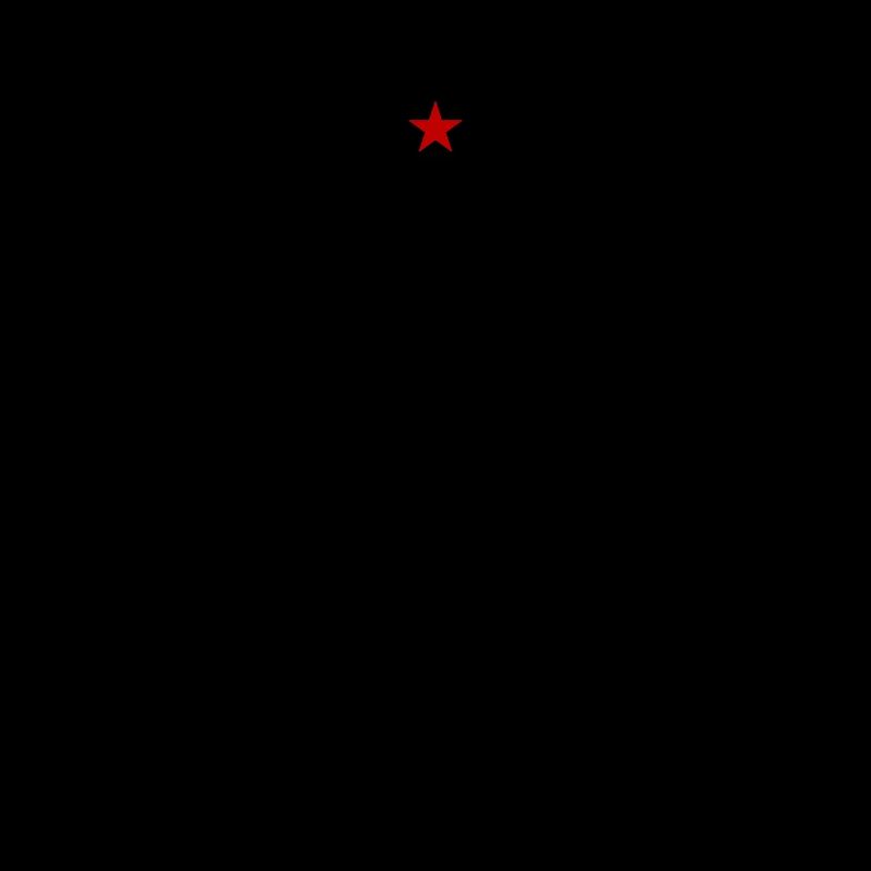 Bull Head Taurus