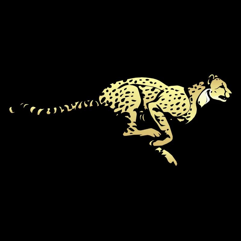 cheetah cat jaguar leopard ocelot cheetah wildcat23