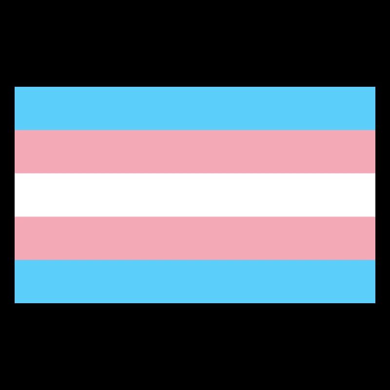 Trans Flag