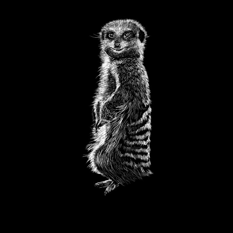Erdmännchen