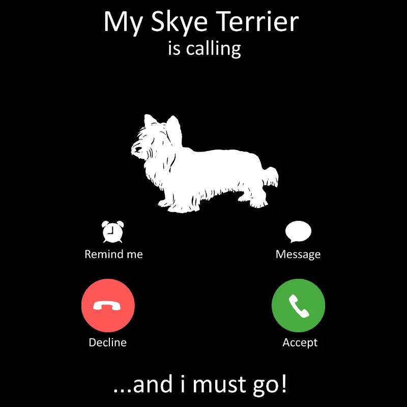 Mon Skye Terrier m’appelle et je dois aller à l’art