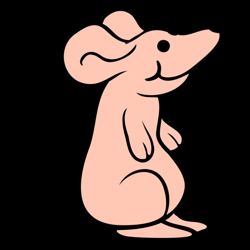 Mouse Mouse Cute Little Rat Rodent Friendly