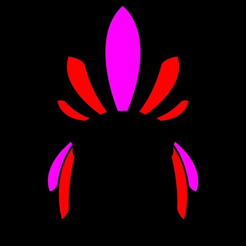 Indian Skull