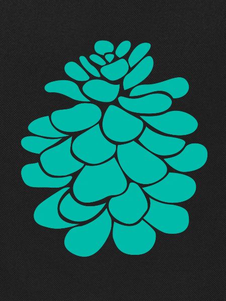 green pine cone