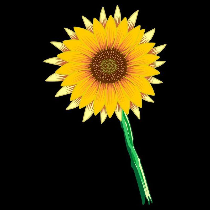Sonnenblume