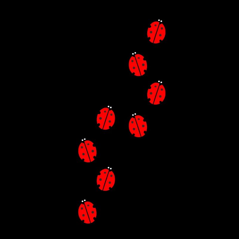 Marienkäfer