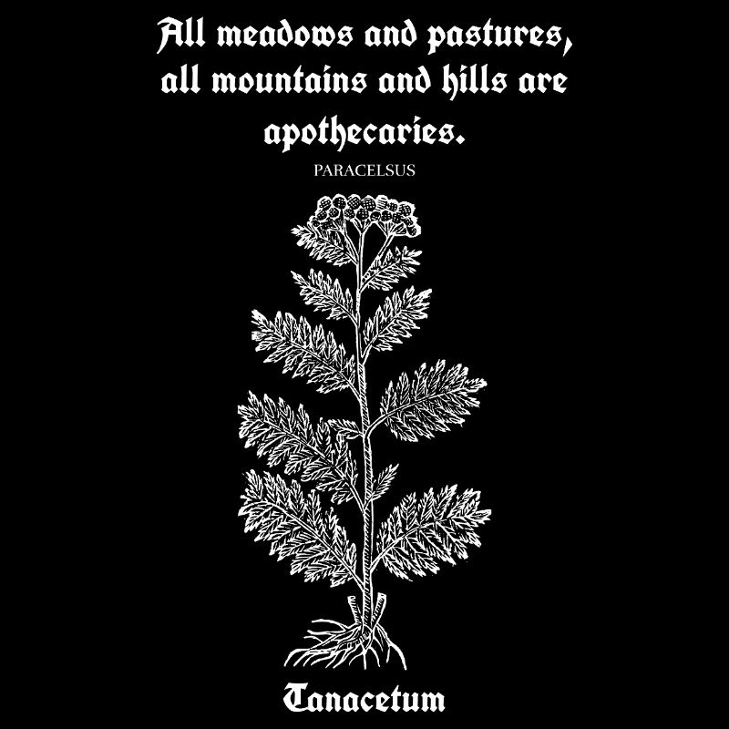Citation latine de Paracelse – Illustration de tanaisie