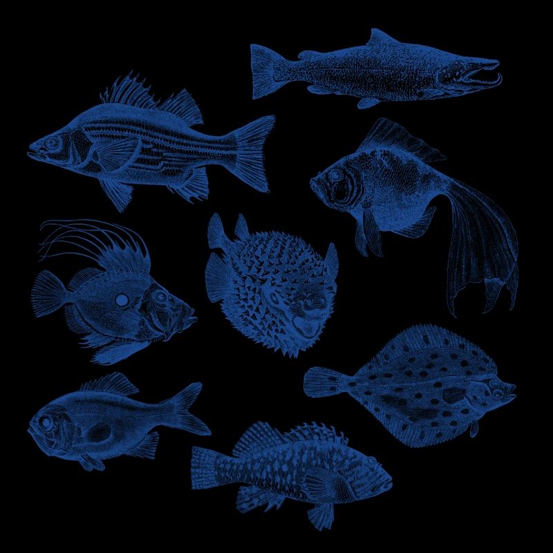 Fishes for compliments