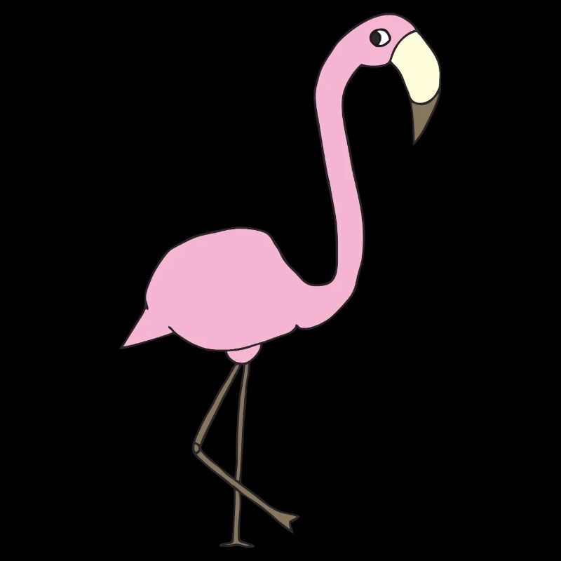 flamingo rosa