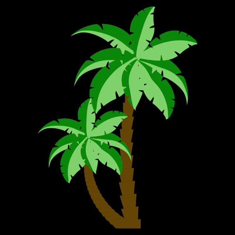 Palm Beach Tropical Print