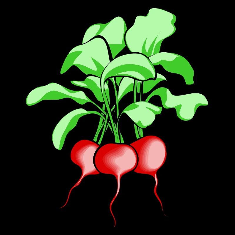 Radieschen. Geschenkidee
