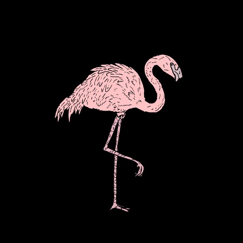 Flamingo - Comicstyle