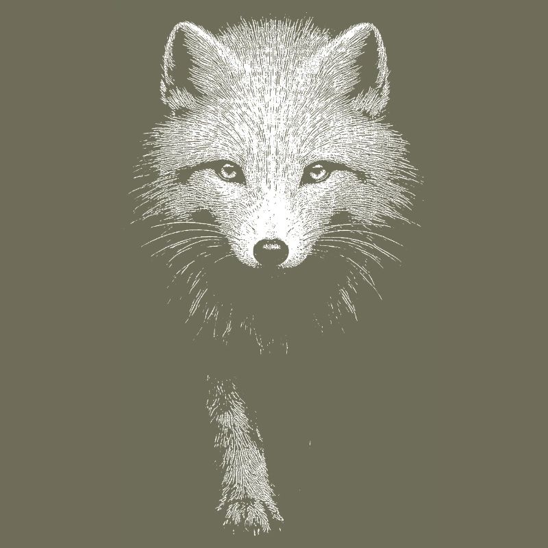 Polarfuchs