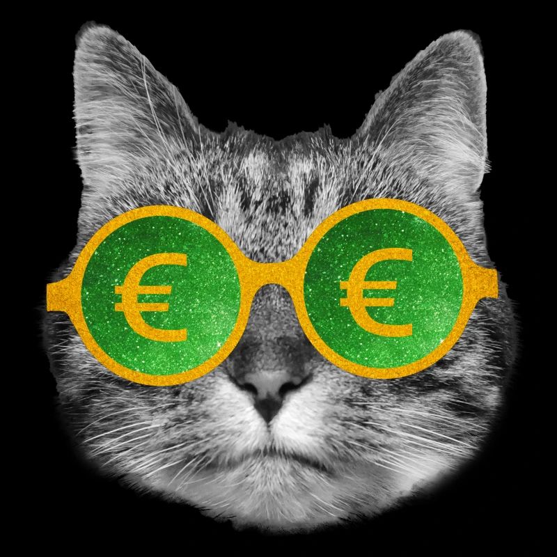 Cat money glasses