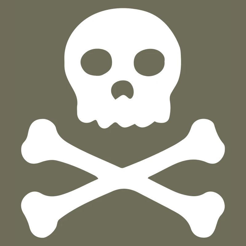 Pirate - Symbole de crâne - Drapeau de pirate