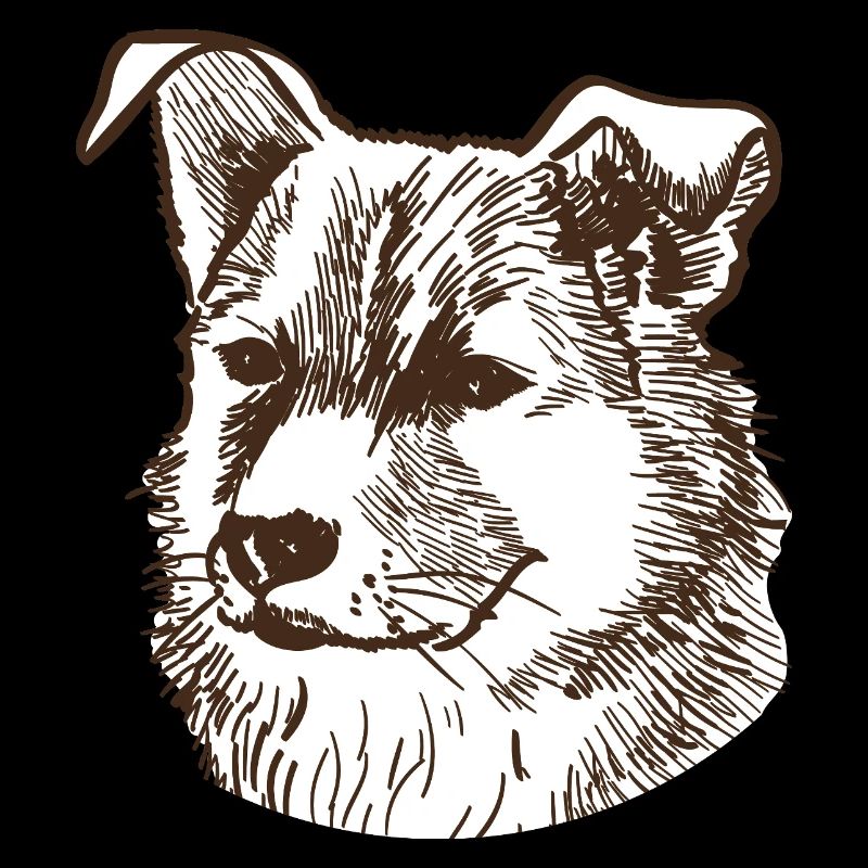 Chien