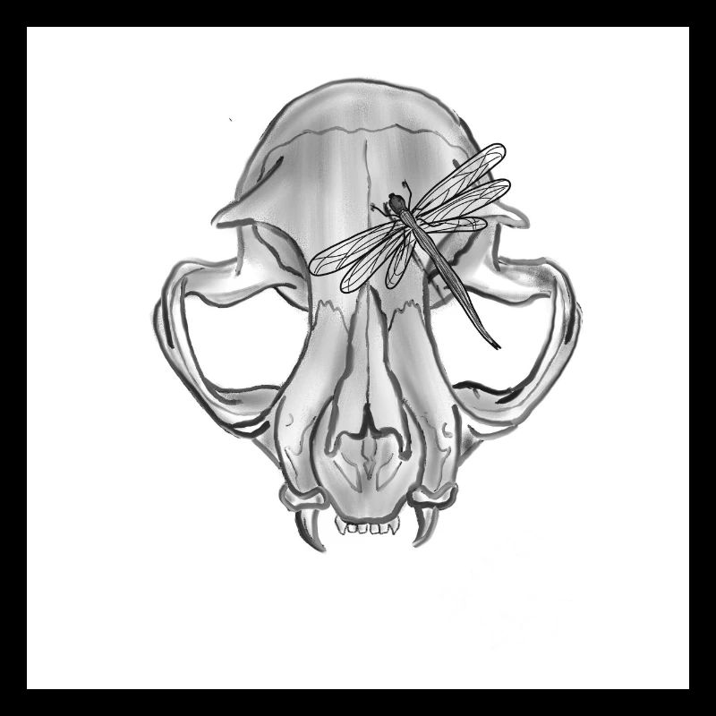 Skull Dragonfly Monochrome