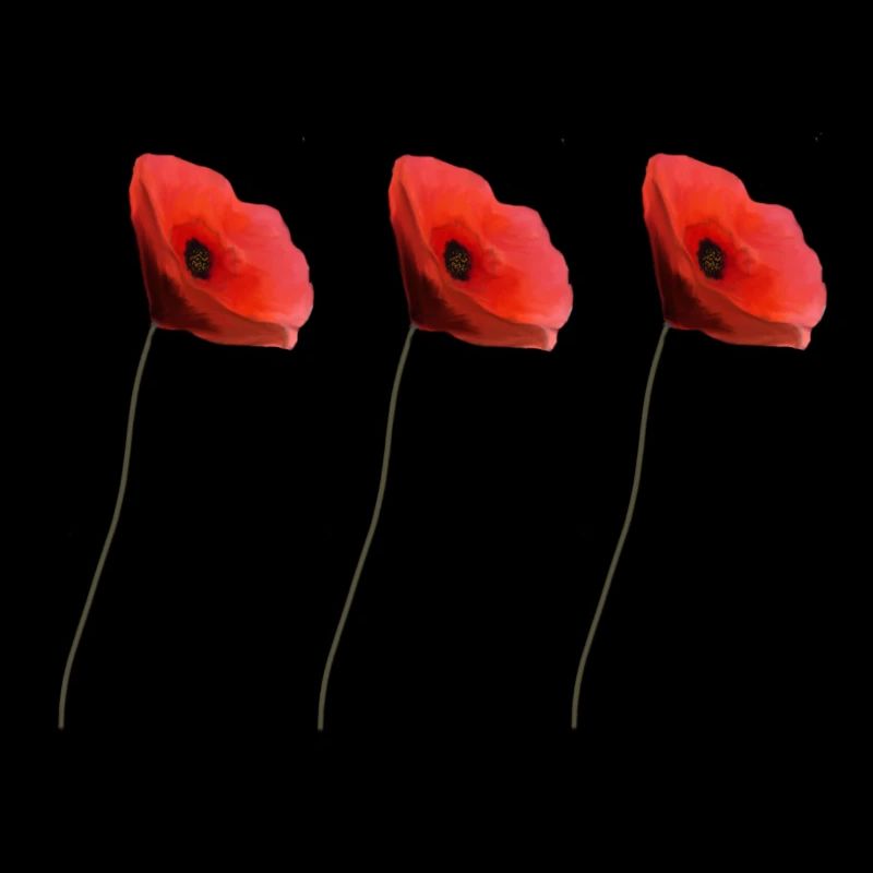 coquelicot