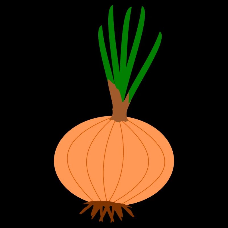 oignons oignon légume Halloween vegetables29