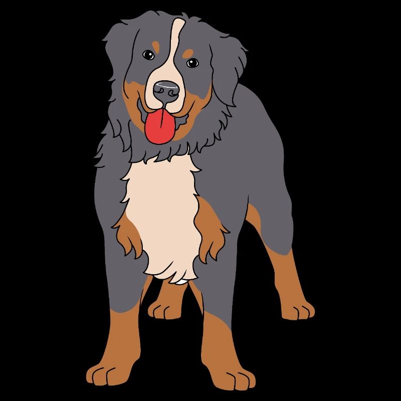 Bernese Mountain Dog