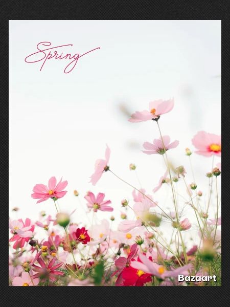 Spring flowers
